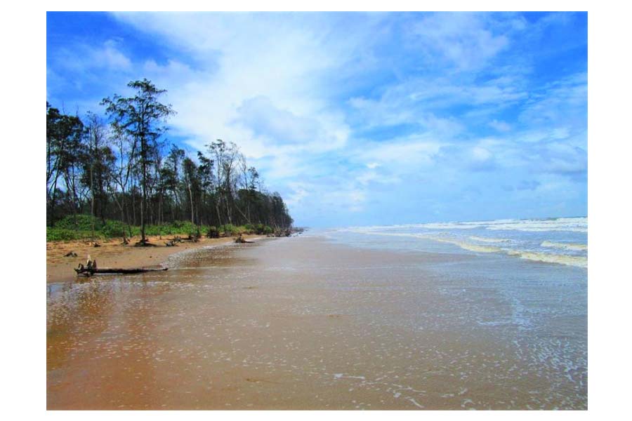 Travel News: Top 5 Weekend Getaways Near Kolkata for Christmas Break