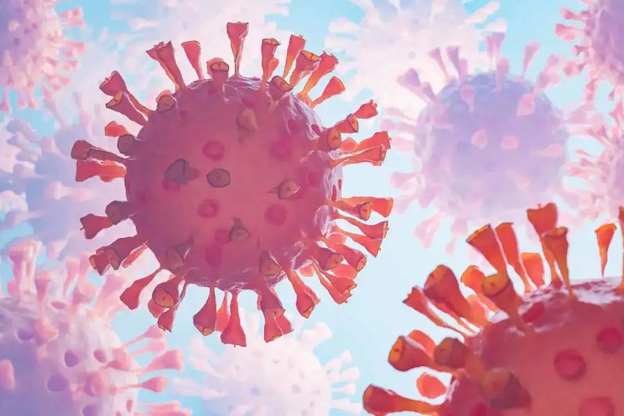 Global Flu Scare: Subclade K Virus Spreading; Symptoms and Treatment
