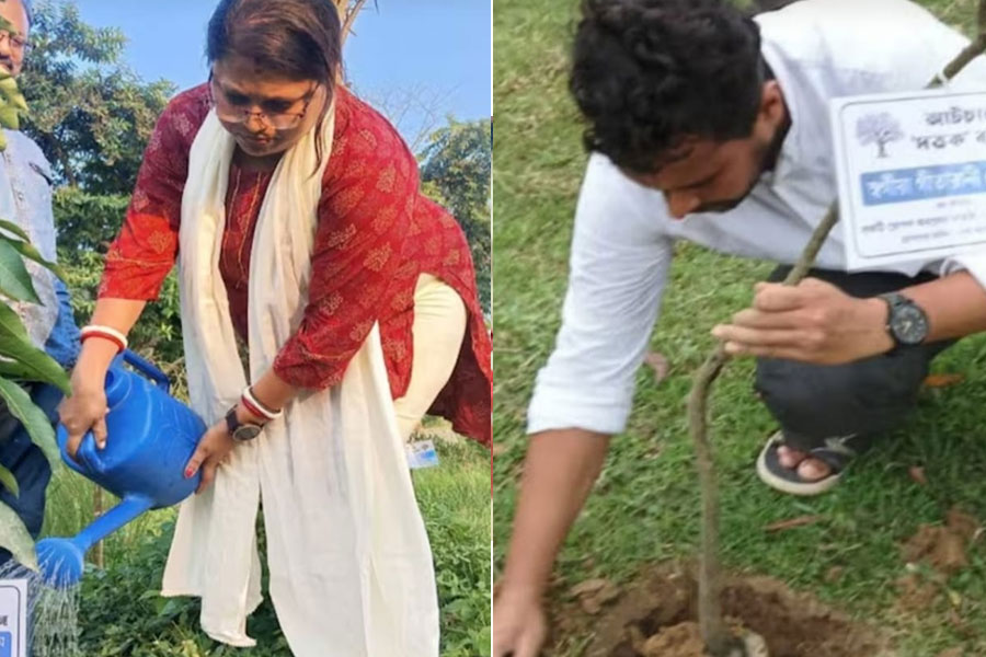 হারিয়ে যাওয়া প্রিয়জনদের নামে আম, কাঁঠাল গাছ রোপণ, হুগলিতে তৈরি অভিনব ‘দত্তক বাগান’
