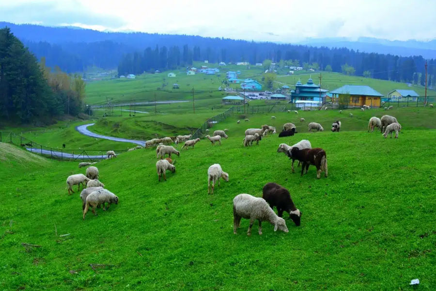 kashmir1