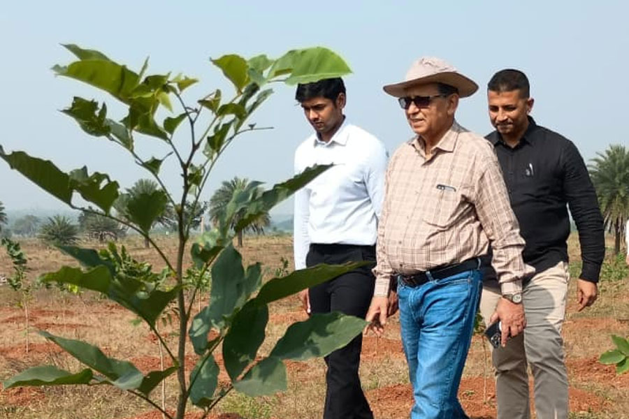 দূষণ ঠেকাতে জঙ্গলের শুকনো পাতা থেকে বিকল্প জৈব জ্বালানি, কোন কোন জেলায় এই প্রকল্প?