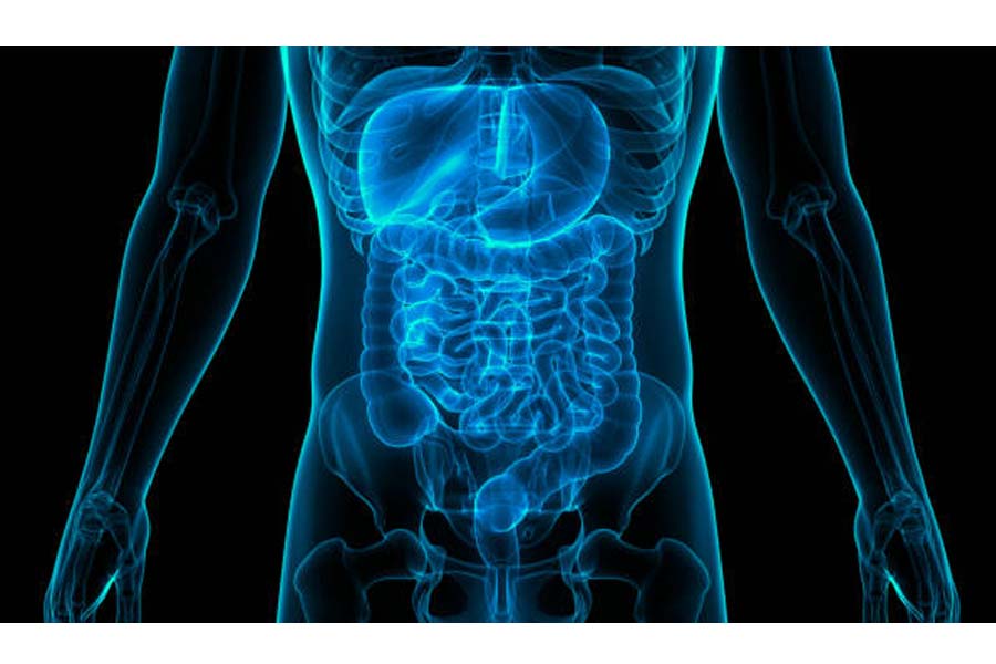 Health Tips: Smoking harms the stomach, not just lungs, US Gastroenterologist