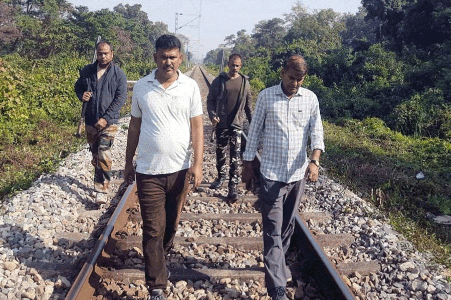 রাজধানীর ধাক্কায় ৮ হাতির মৃত্যুর জের, জলদাপাড়ায় রেল লাইনে নজরদারি বনদপ্তরের, বসছে ক্যামেরাও