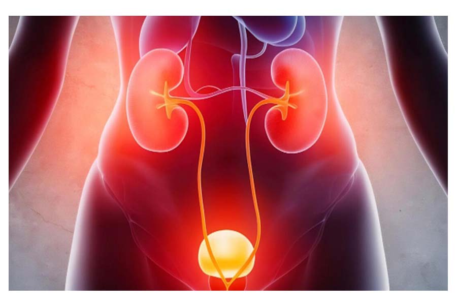 Health Tips: Holding Urine Can Lead to These Serious Illnesses