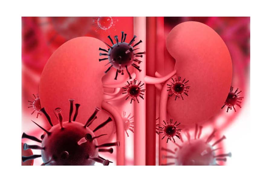 Health Tips: Holding Urine Can Lead to These Serious Illnesses