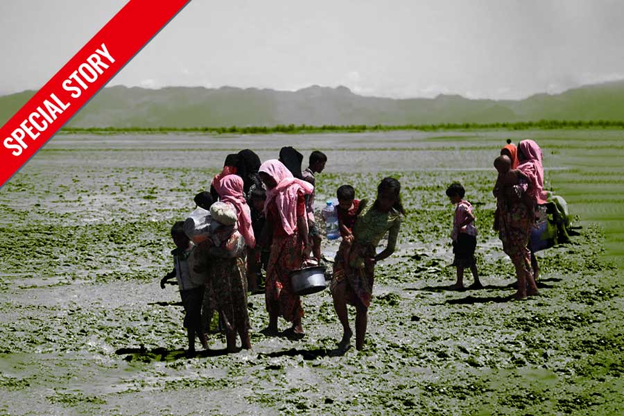 রোহিঙ্গা কারা? মায়ানমার থেকে কী করে বিশ্বে ছড়িয়ে পড়ল এই জনজাতি?