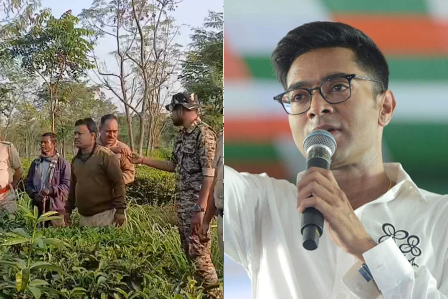 অভিষেকের সভাস্থল লাগোয়া চা বাগানে লুকিয়ে চিতাবাঘ! নিরাপত্তা সুনিশ্চিত করতে আসরে বনদপ্তর