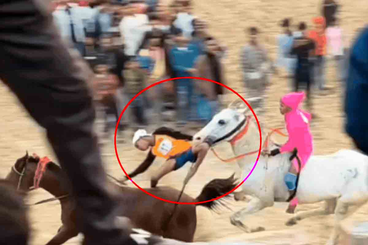নাবালককে কামড় ঘোড়ার! হাড়হিম কাণ্ডে ক্যানিংয়ে জোর শোরগোল
