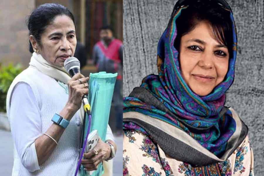মমতা ‘বাঘিনী’, আইপ্যাকে ইডি হানায় অখিলেশের পর মুখ্যমন্ত্রীর পাশে মেহবুবা