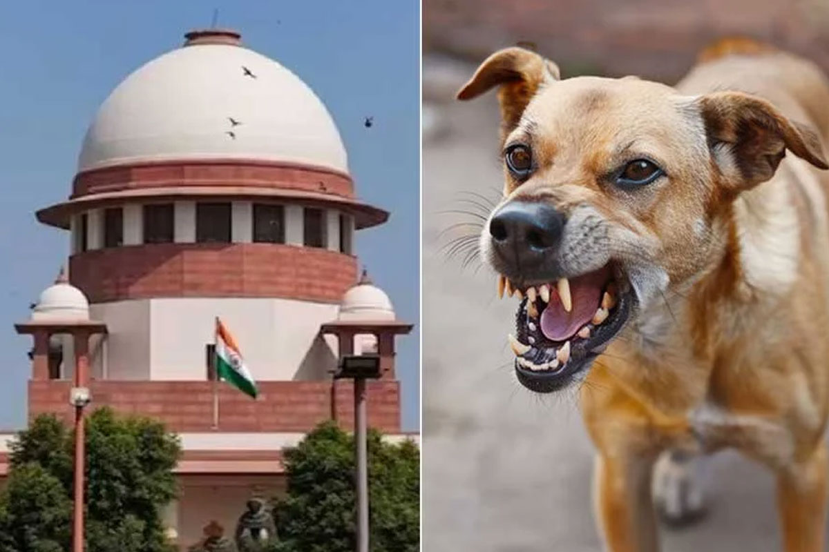 এবার কুকুরের কামড়ে মৃত্যুতে মোটা অঙ্কের ‘ক্ষতিপূরণ’! সুপ্রিম নির্দেশে দায় নেবে রাজ্য