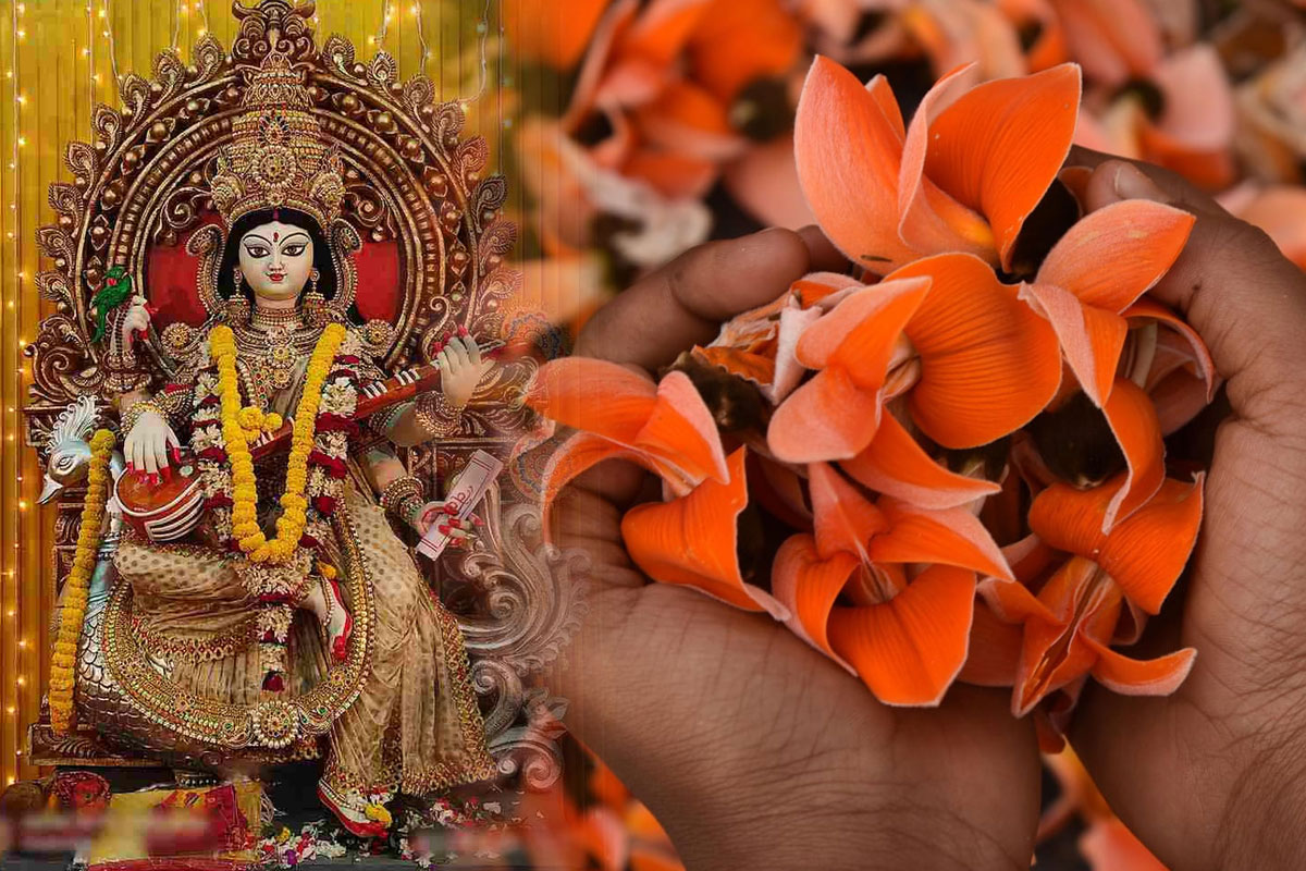 শীতে গাছে কুঁড়ি পর্যন্ত নেই! পলাশপ্রিয়ার চরণে পলাশ নিবেদন কীভাবে? চিন্তায় আয়োজকরা