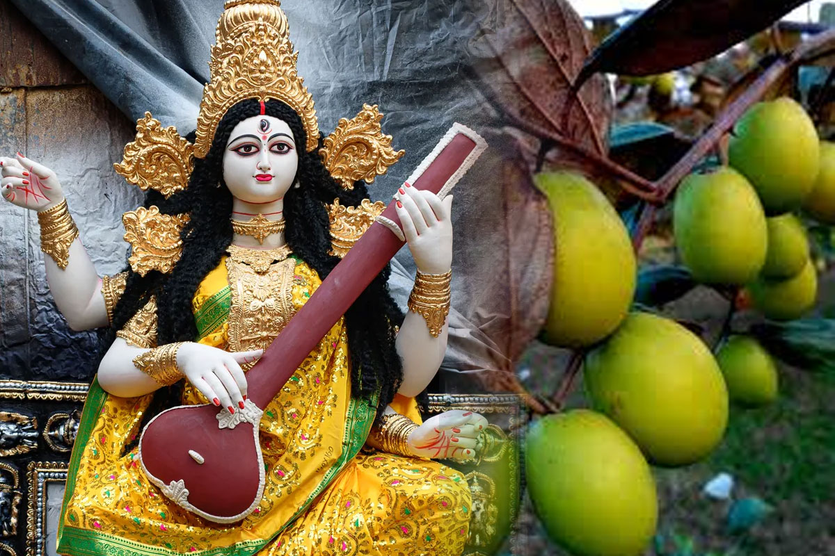 সত্যিই কি সরস্বতী পুজোর আগে কুল খেলে রুষ্ট হন দেবী? আসল কারণ জানলে অবাক হবেন
