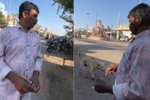 তেলেঙ্গানায় ভোটের বলি ৫০০ কুকুর, ‘প্রতিশ্রুতি রক্ষায়’ বিষ দিয়ে হত্যালীলা পঞ্চায়েত প্রধানের নেতৃত্বে!