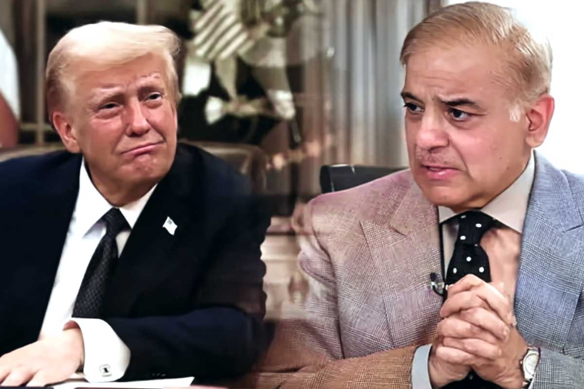 ‘লাদেনকে চেয়ারম্যান করুন’, ট্রাম্পের শান্তি কমিটিতে পাকিস্তান যোগ দিতেই সমাজমাধ্যমে মিমের বন্যা