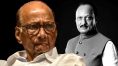 ‘নিছকই দুর্ঘটনা’, অজিতের মৃত্যুতে ষড়যন্ত্রের তত্ত্ব খারিজ করলেন কাকা শরদ পওয়ার