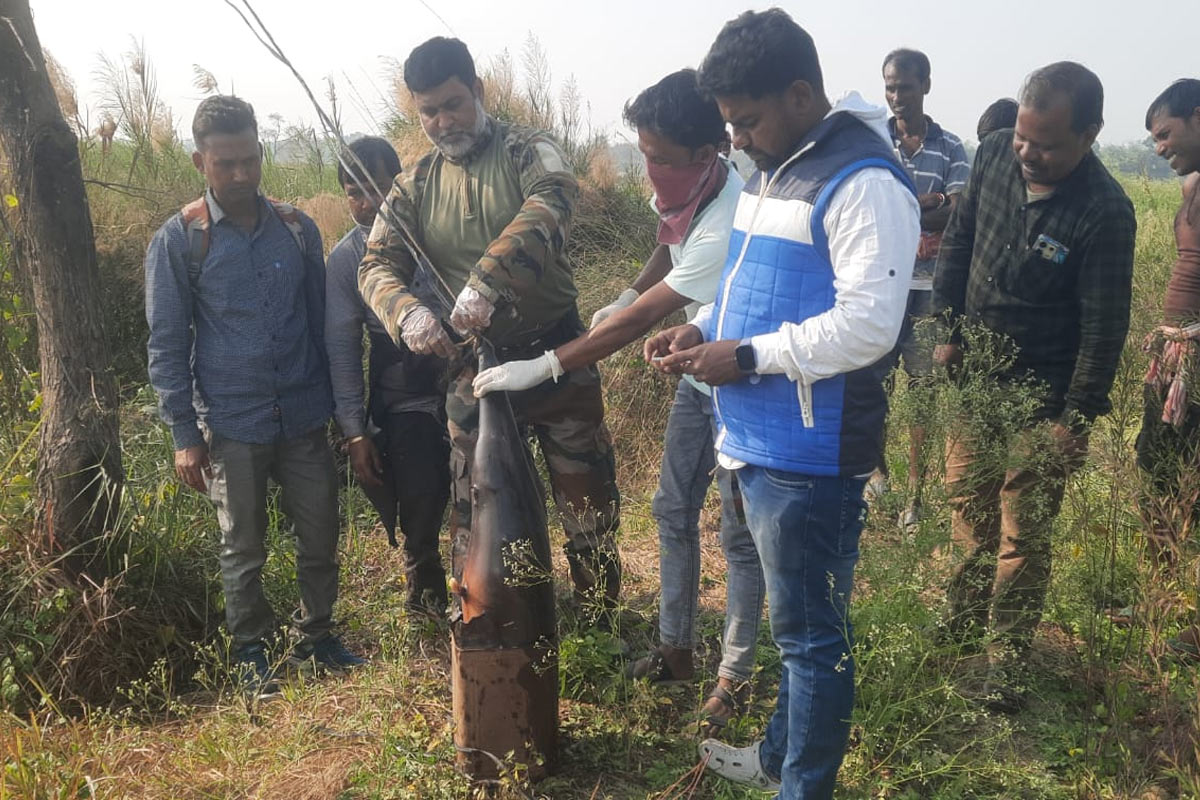 চাই চর্বি! ডলফিনের ঠোঁট কেটে গাছে ঝুলিয়ে দিল চোরা শিকারিরা, তদন্তে বনবিভাগ