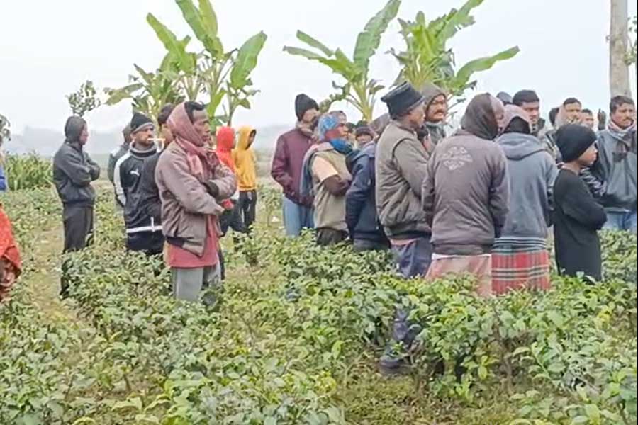 স্বামী নাকি প্রেমিক! সম্পর্কের টানাপোড়নে প্রেমিককে নিয়েই ‘সহমরণ’ জলপাইগুড়ির গৃহবধূর