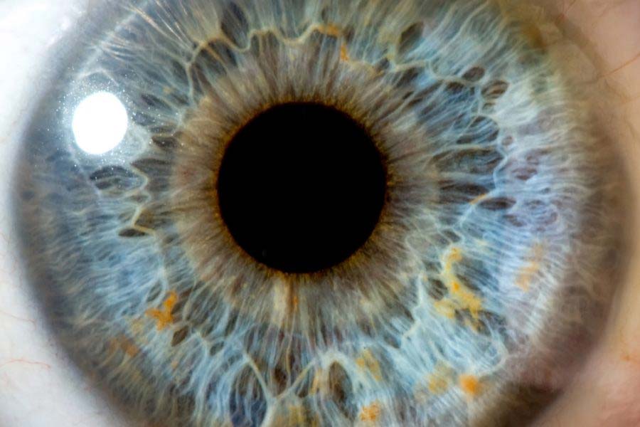 glaucoma awareness month 2026: Know the Symptoms and treatments