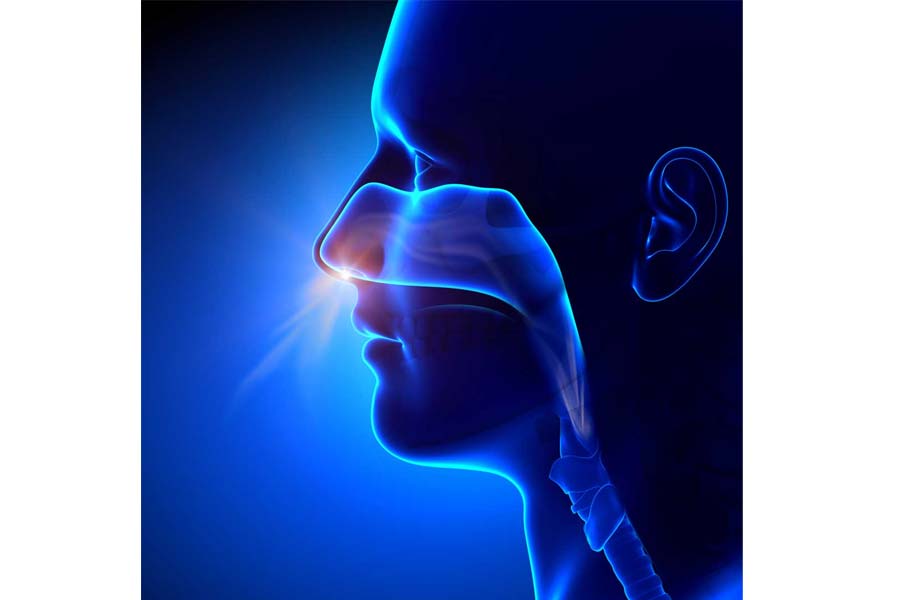Check Lung Health at Home: The 40-Second Breath Challenge