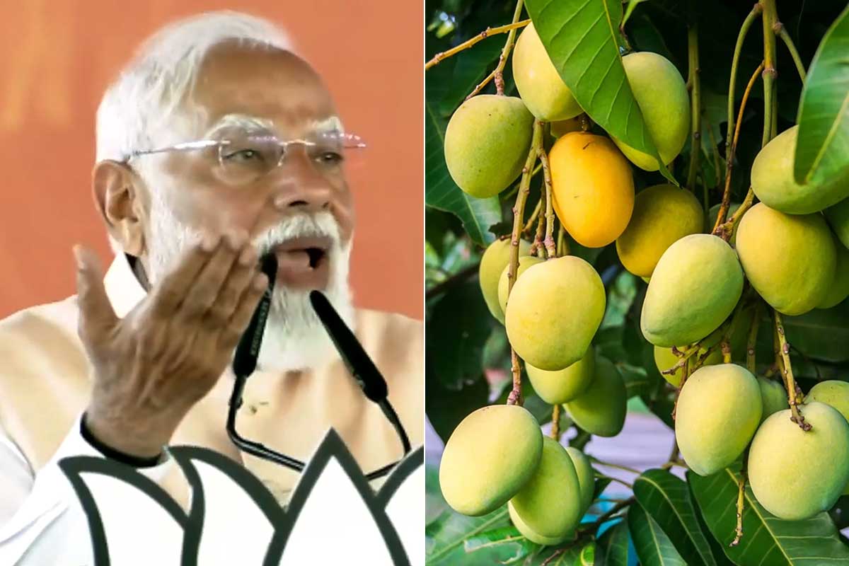 মালদহে আমজনতাকে ‘আম’বার্তা মোদির, ভাঙন রোধে প্রতিশ্রুতির বন্যা প্রধানমন্ত্রীর