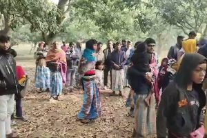 হাসপাতালের বাগানে উদ্ধার মহিলের মৃতদেহ, পাশে জখম সন্তান! চাঞ্চল্য মুর্শিদাবাদে