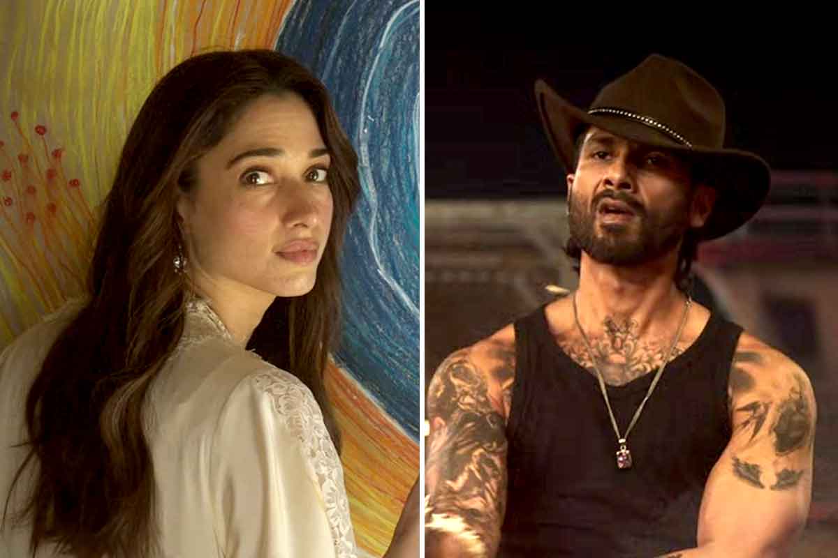 রোম্যান্স থেকে রক্তারক্তি! বিতর্কে জড়ানো ‘ও রোমিও’র জন্য কত পারিশ্রমিক নিলেন শাহিদ-তামান্নারা?