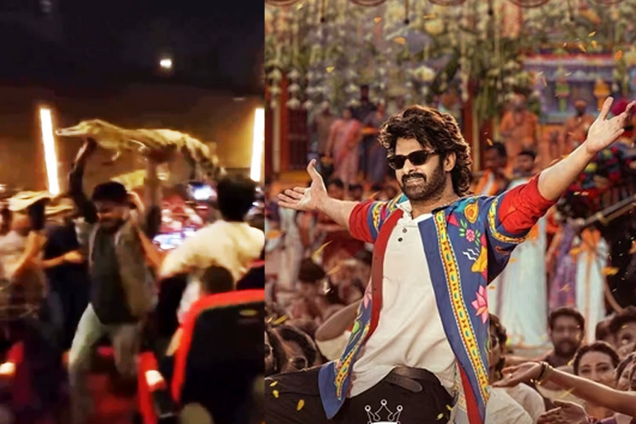 আস্ত ‘কুমির’ নিয়ে প্রেক্ষাগৃহে প্রভাস ভক্তদের তাণ্ডব, চূড়ান্ত বিশৃঙ্খলায় বাতিল ‘রাজা সাহেব’-এর শো