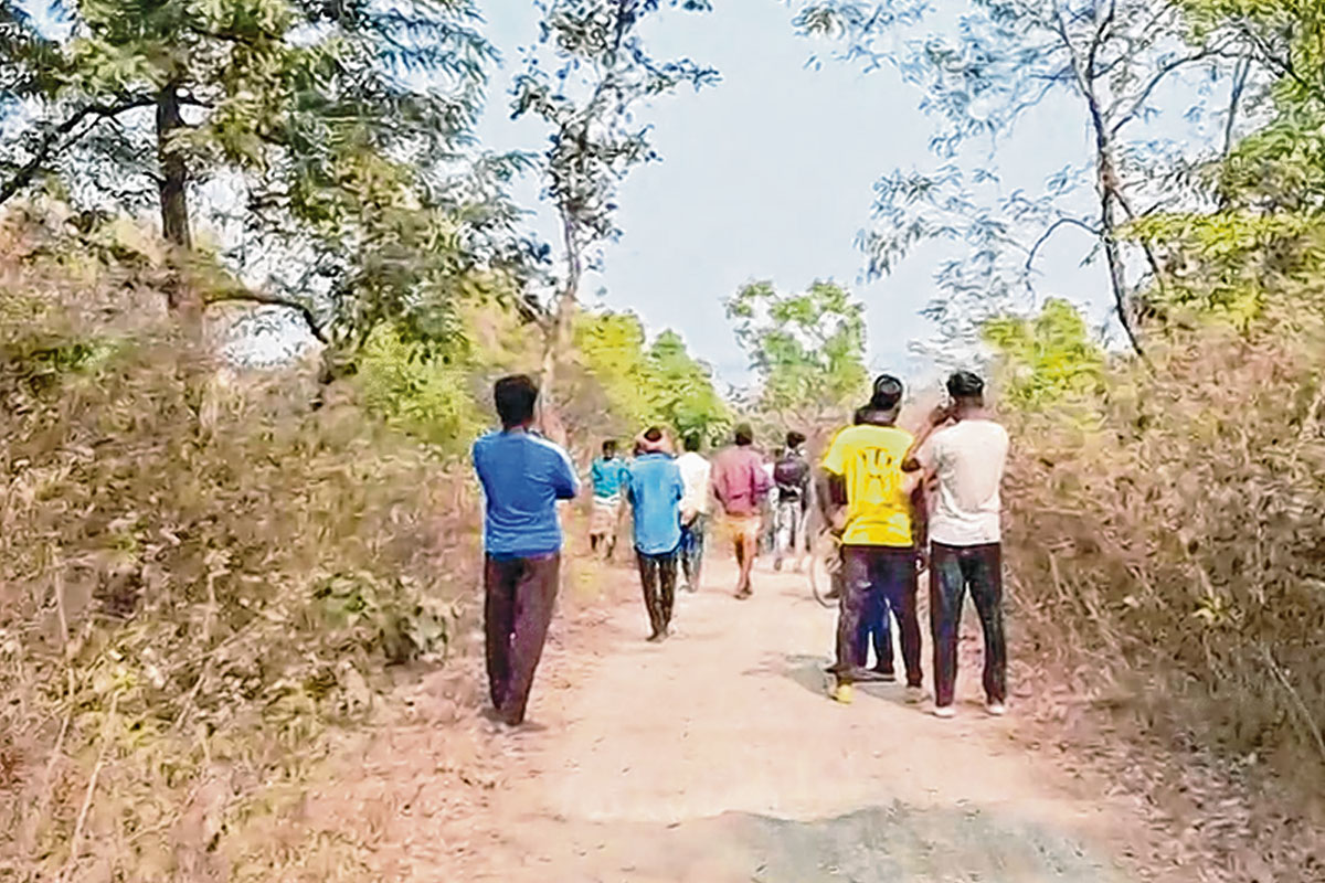 Old man sees tiger on the road in Purulia