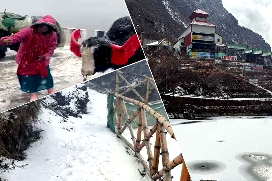 তুষারশুভ্র সিকিম, বাঁধনহারা উচ্ছ্বাস পর্যটকদের! দেখুন ছবিতে