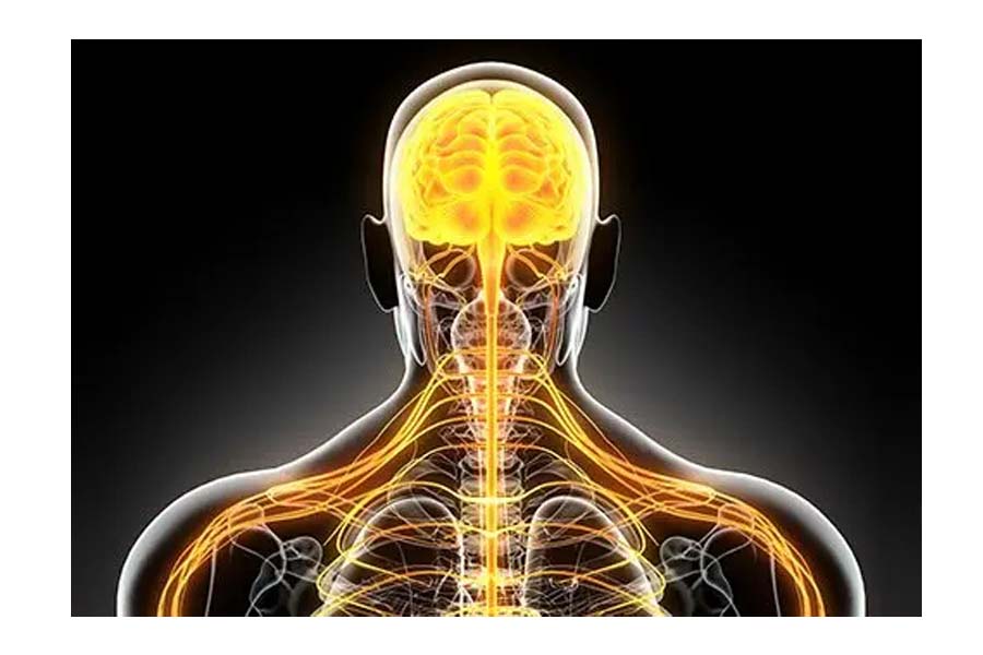 Mouth bacteria could worsen Multiple Sclerosis symptoms, says new study