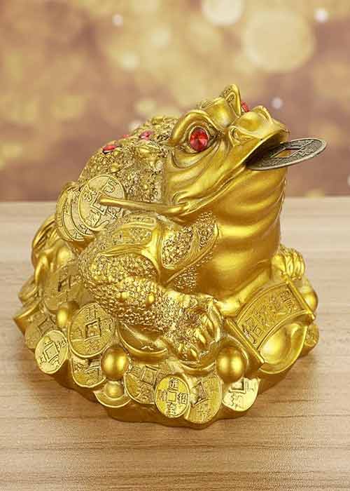 three-legged-toad