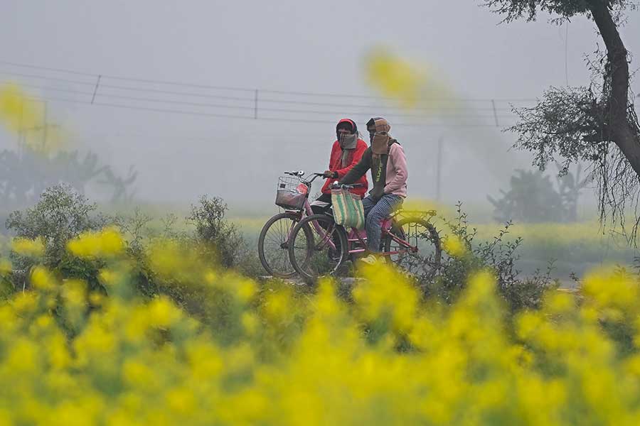 উত্তুরে হাওয়ায় ফের কমল দক্ষিণবঙ্গের তাপমাত্রা, জাঁকিয়ে ঠান্ডা পৌষ সংক্রান্তিতে?