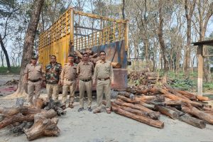 ব্যবহার হয় ওষুধ তৈরিতে! জলদাপাড়ায় ‘দুর্মূল্য’ খয়ের কাঠ পাচার রুখলেন বনকর্মীরা