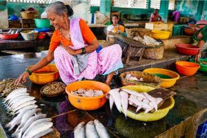 খোলা বাজারে মাছ-মাংস বিক্রি বন্ধ বিহারে! ‘এসি ঘরে বিকোবে?’ তোপ বামেদের