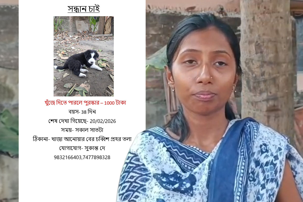 ভালোবাসার ধন! হারানো কুকুরছানার খোঁজ দিলেই মিলবে পুরস্কার, ‘সন্ধান চাই’ পোস্টারে চমক
