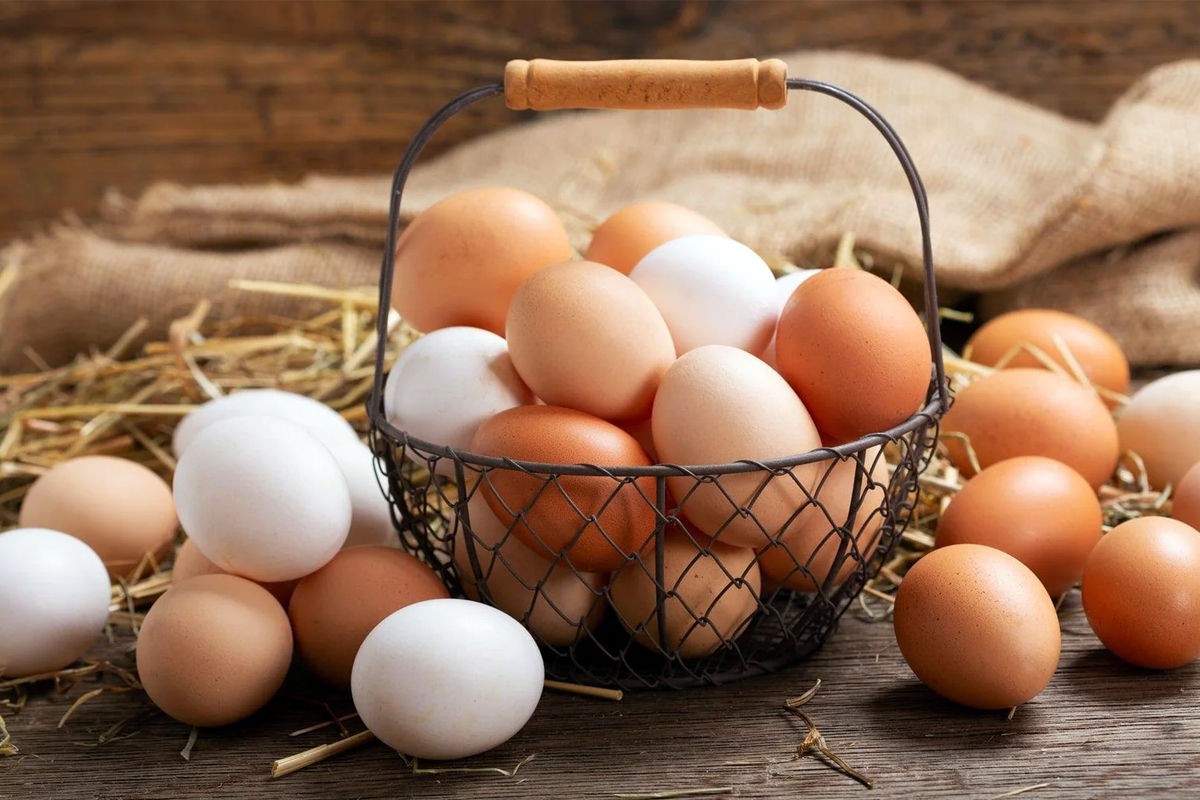 White or brown eggs, which is better in terms of nutrition?