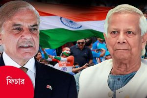 ২২ গজে উগ্র জাতীয়তাবাদের বিষবৃক্ষ! বাংলাদেশের হাত ধরেই ভাঙল ভারত-পাক ক্রিকেট সেতু