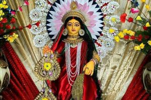 সংসারে সমৃদ্ধি চান? দেবী লক্ষ্মীর প্রিয় এই ফুলগাছগুলি ব্যালকনিতে রাখলেই ঘুরবে ভাগ্যের চাকা