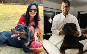 যে কোনও মূল্যে হেনরিকে চাই, পোষ্যকে পেতে ‘প্রাক্তনে’র বিরুদ্ধে এবার হাই কোর্টে মহুয়া