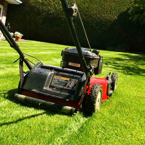 Mowing