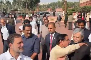 রাহুল পাশে এসে দাঁড়াতেই তড়িঘড়ি পালালেন মোদির মন্ত্রীরা! সংসদের ‘অবিশ্বাস্য’ ভিডিওয় শোরগোল