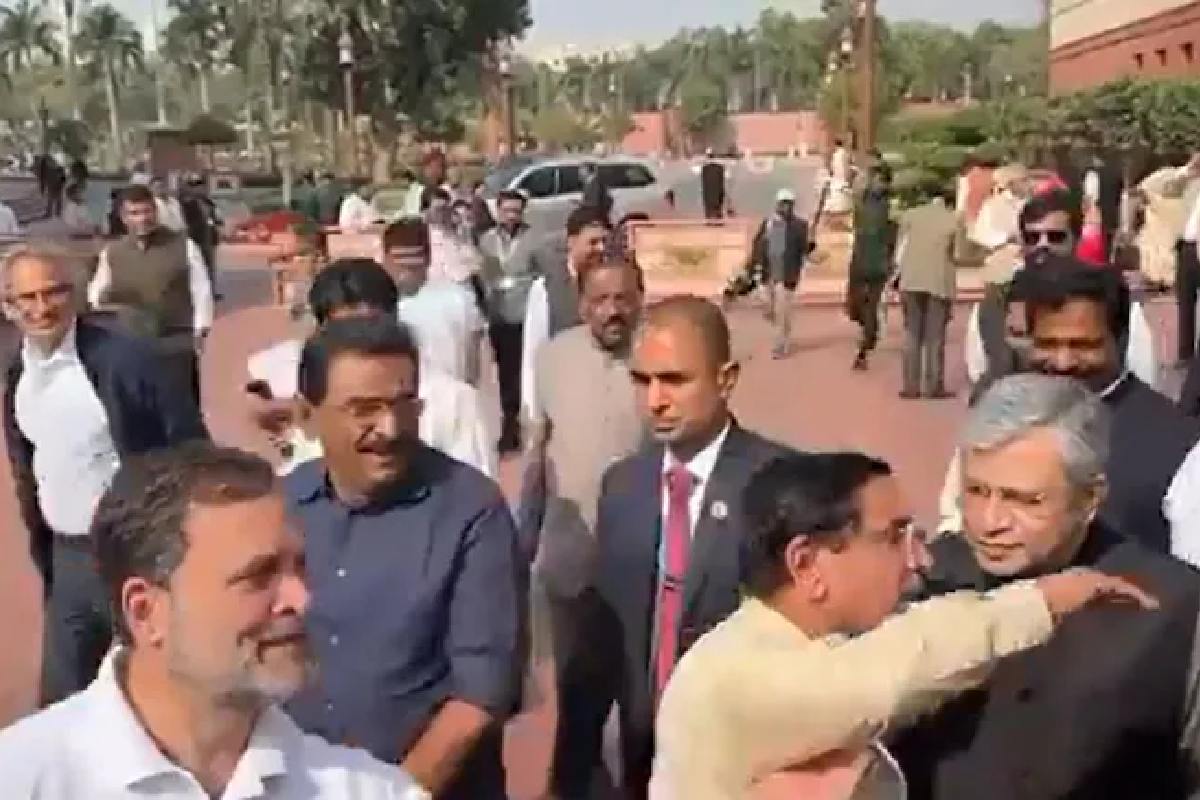 রাহুল পাশে এসে দাঁড়াতেই তড়িঘড়ি পালালেন মোদির মন্ত্রীরা! সংসদের ‘অবিশ্বাস্য’ ভিডিওয় শোরগোল