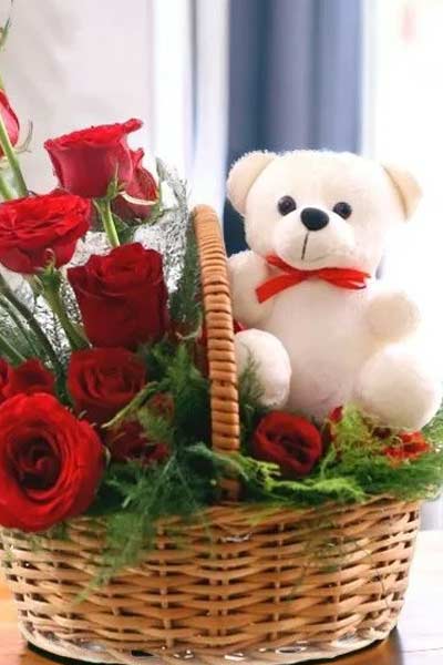 Teddy-Bear