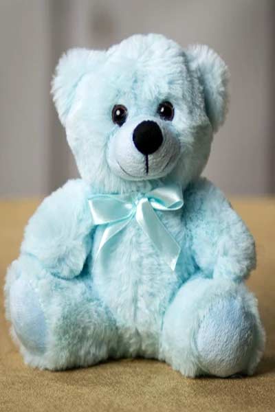 Teddy-Bear