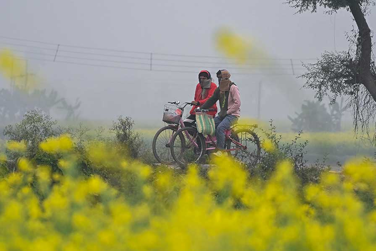 বিদায় বেলায় ‘চমক’ দেবে শীত, ১৪ ডিগ্রির ঘরে নামবে কলকাতার তাপমাত্রা, জানাল হাওয়া অফিস