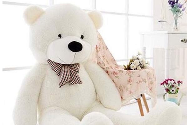 White teddy bear