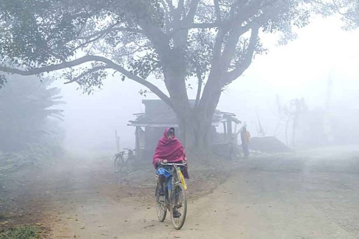 শেষ মাঘে শীতের কামব্যাক! সপ্তাহান্তে পারদ পতনের সম্ভাবনার কথা শোনাল হাওয়া অফিস