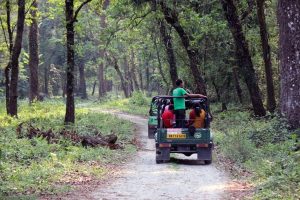 ফাল্গুনে জঙ্গলে দাবানলের আশঙ্কায় সতর্ক বনদপ্তর, সুখটানে নিষেধাজ্ঞা গরুমারায়