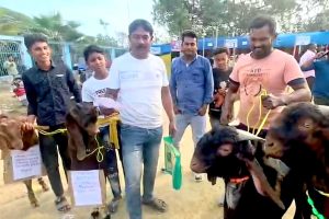 কমিশনের খাতায় ২ ছেলে বেড়ে ৬! SIR শুনানিতে চার খাসি এনে প্রতিবাদ ব্যক্তির