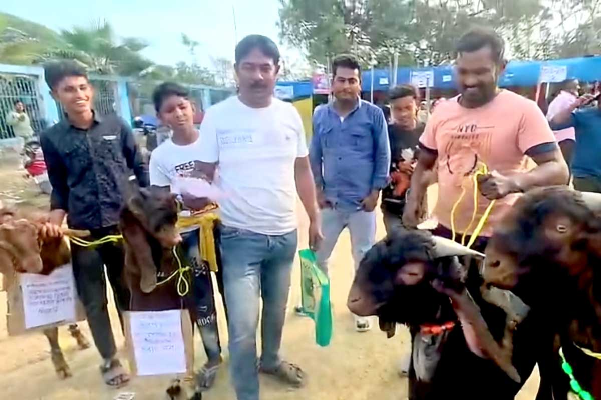 কমিশনের খাতায় ২ ছেলে বেড়ে ৬! SIR শুনানিতে চার খাসি এনে প্রতিবাদ ব্যক্তির